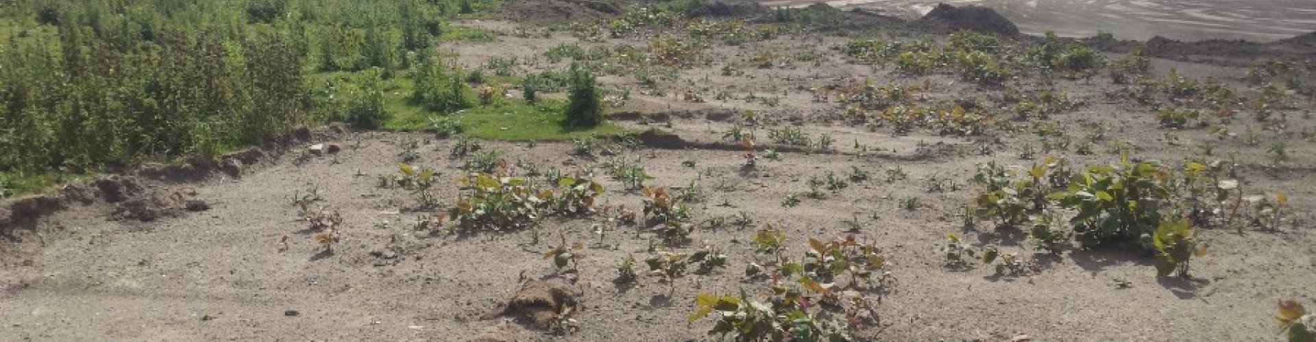 Afgraven onder sanerende omstandigheden 2