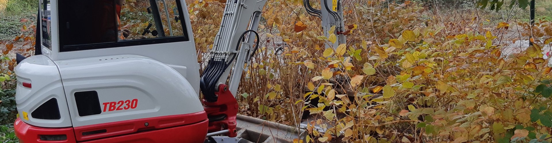 Aziatische duizendknopen en grondverzet