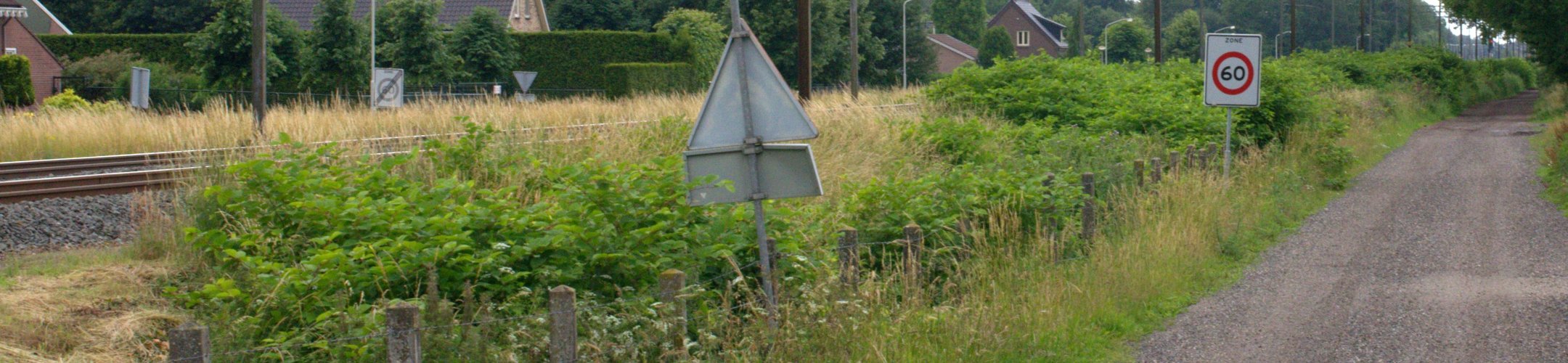 Bestrijding Aziatische duizendknopen langs het spoor