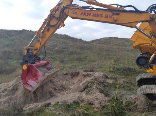 Ecogroen_Rimpelroos_3_530x395.jfif