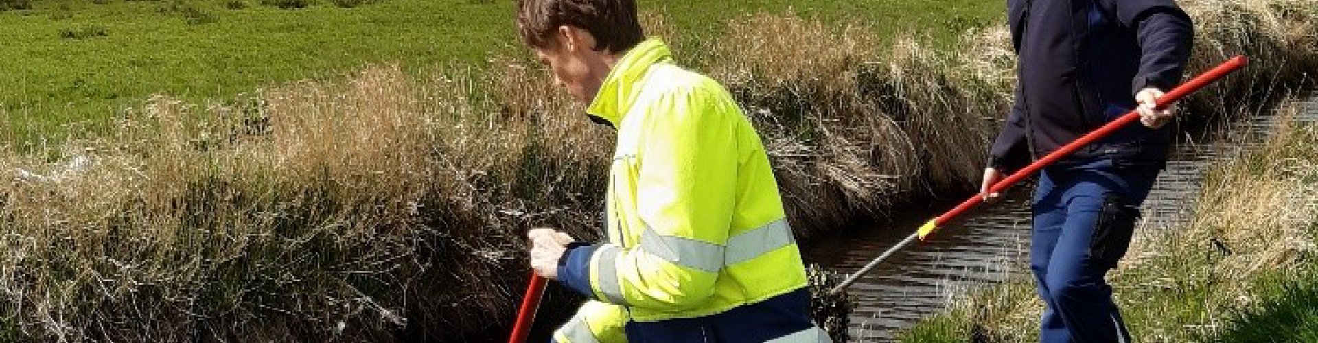 Handmatig verwijderen parelvederkruid cover.jpg