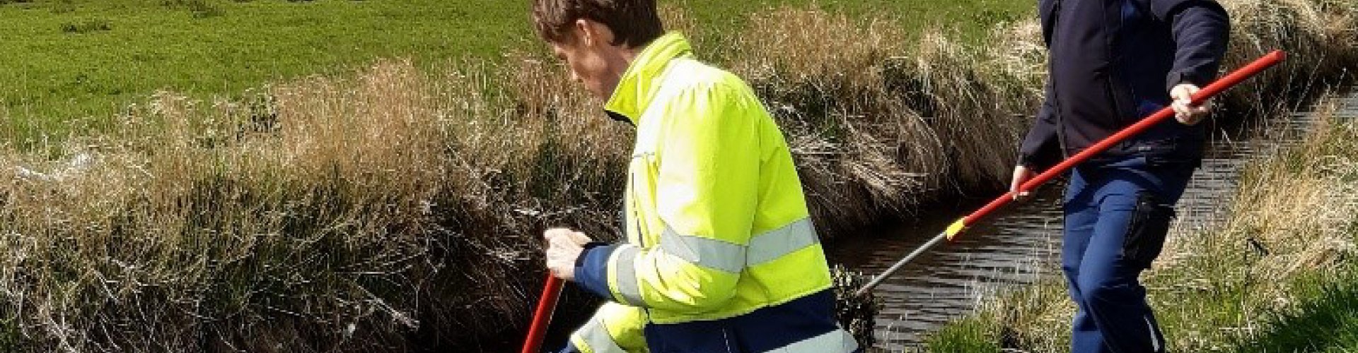 Handmatig verwijderen waterteunisbloem cover.jpg