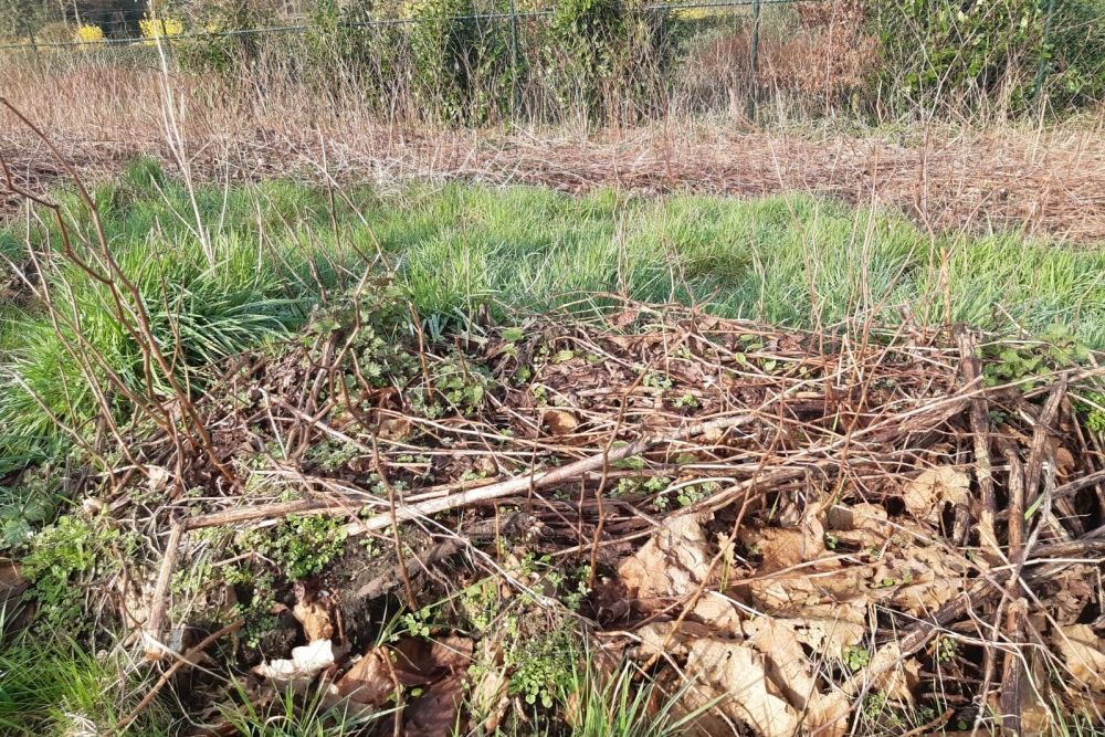 Hergroei uit maaisel preview 3