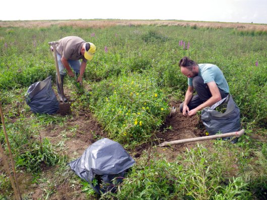 Het “waterteunisteam” verwijdert handmatig kleine groeiplekken.jpg