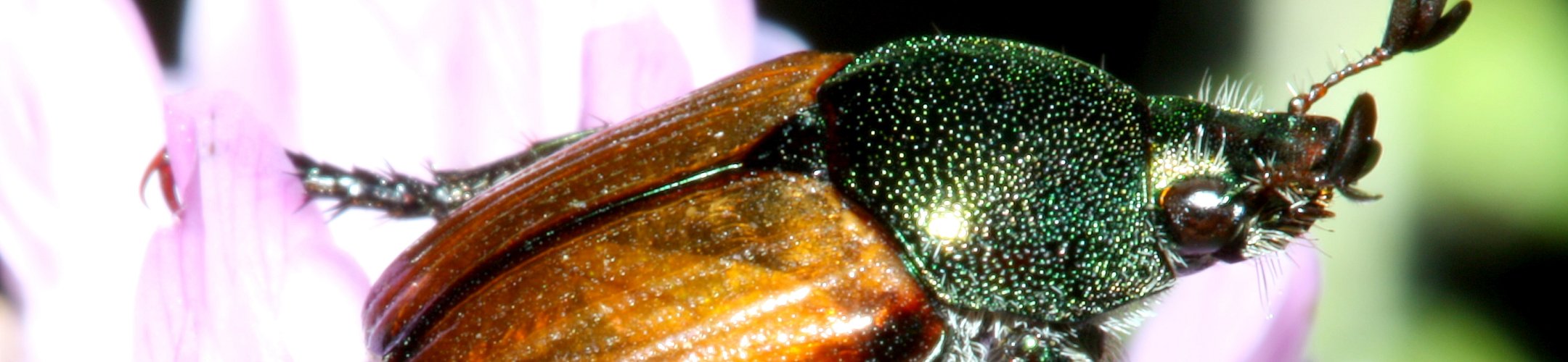 Investeren in preventie bespaart op lange termijn veel geld