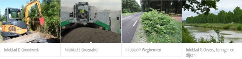 Landelijk protocol omgaan met Aziatische duizendknopen herzien