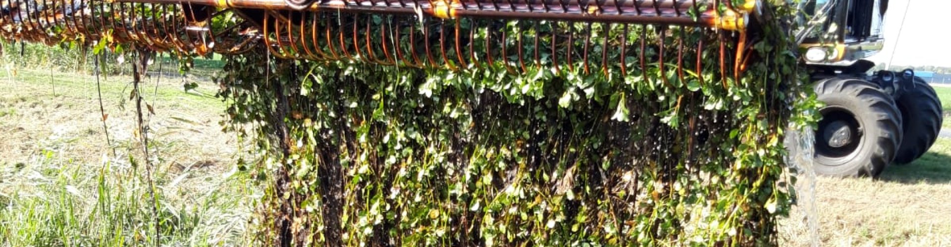 Machinaal verwijderen waterteunisbloem cover.jpg