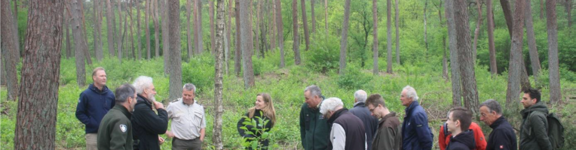 Nabehandeling door verwijderen zaailingen amerikaanse vogelkers cover.png
