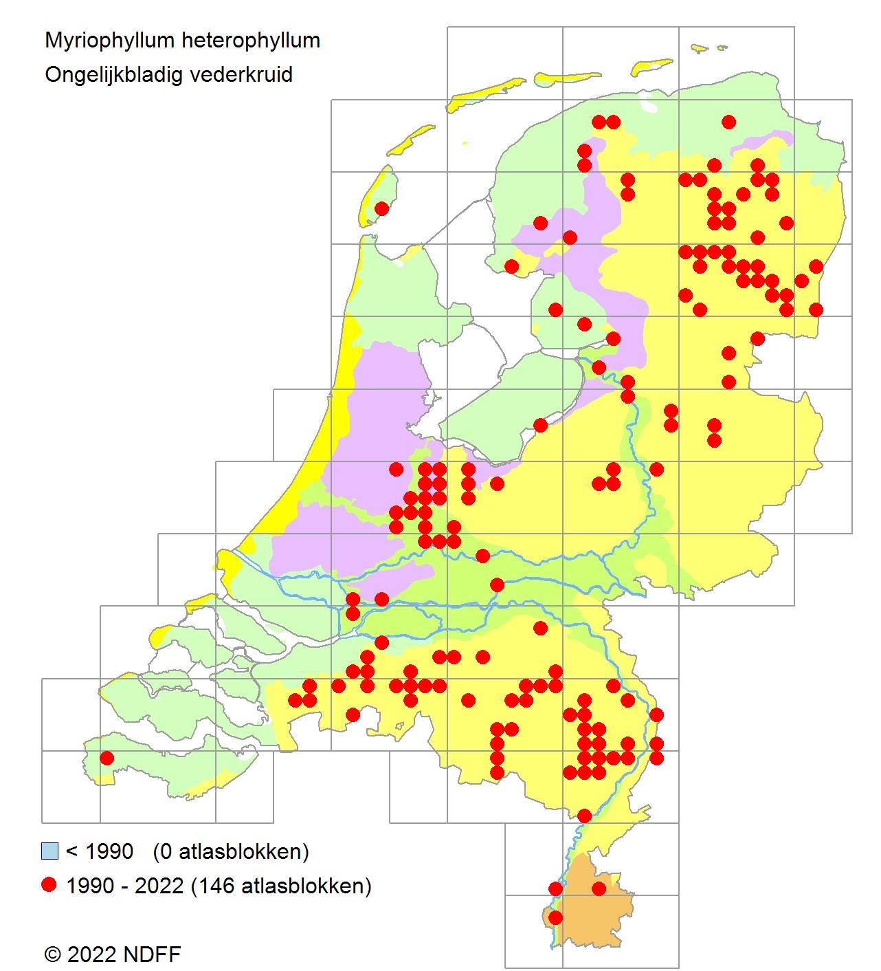 Ongelijkbladig vederkruid