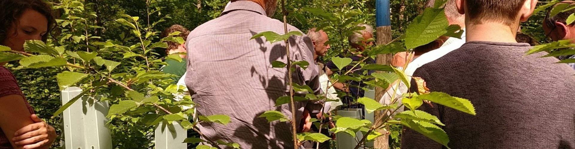 Pleksgewijs verjongen amerikaanse vogelkers cover.jpg