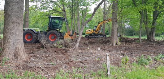 Pontische rododendron