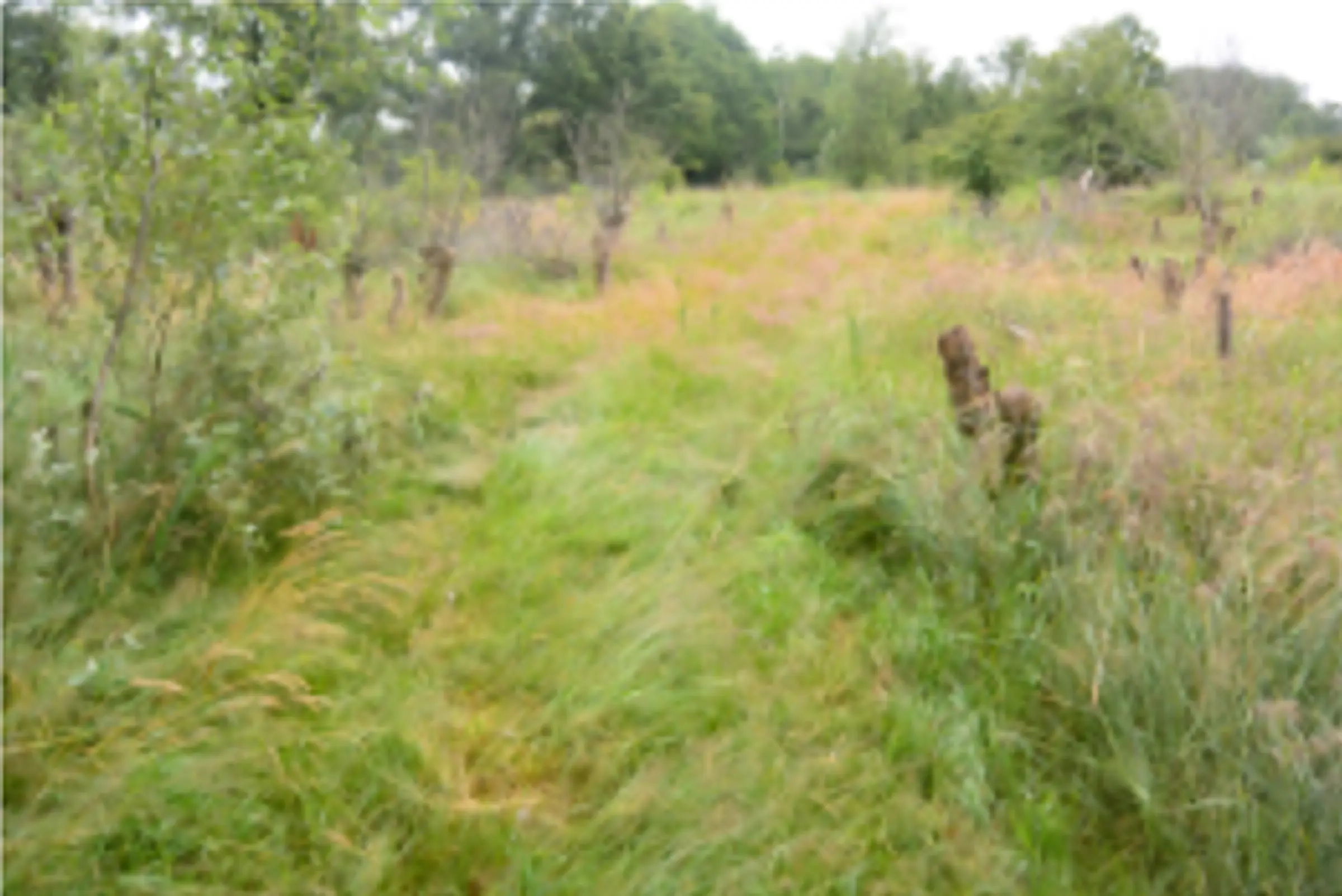 Schermafbeelding 2026-04-21 180028.png