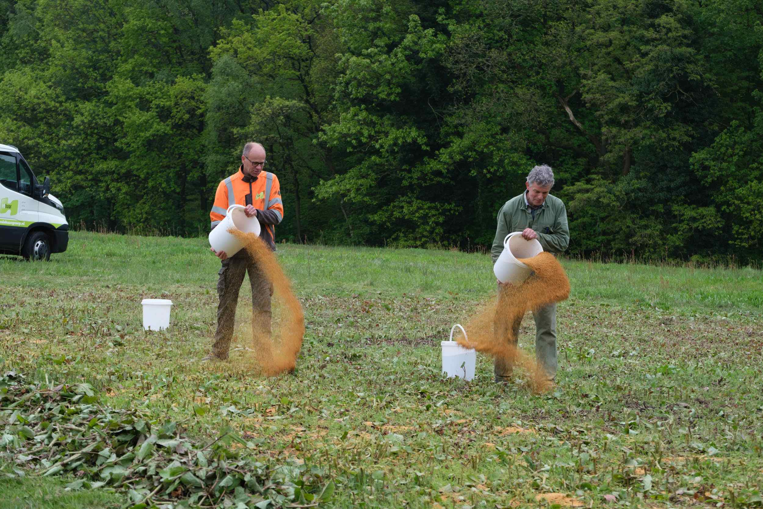 Uitstrooien Herbiekorrels