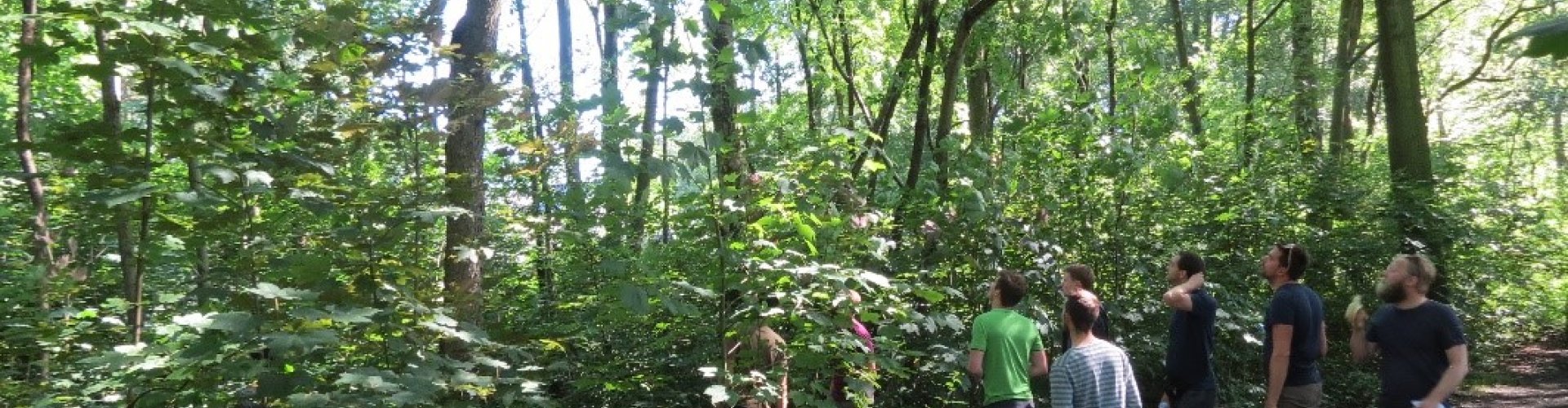 Veerkracht bos versterken amerikaanse vogelkers cover.jpg