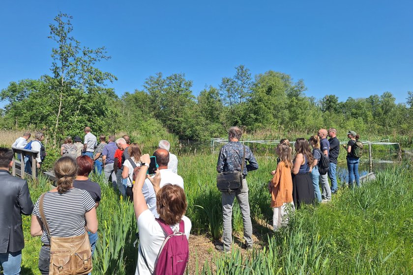Veldbezoek aan de pilotlocatie in de Molenpolder (Foto: Chris van Dijk)