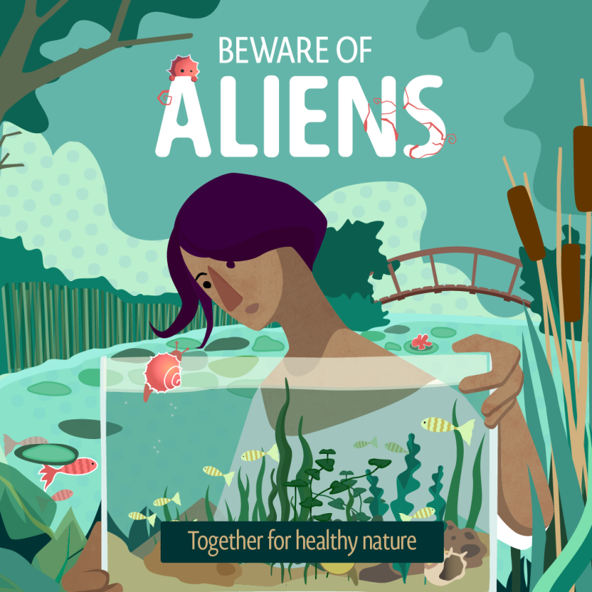 Vijver en aquarium.png