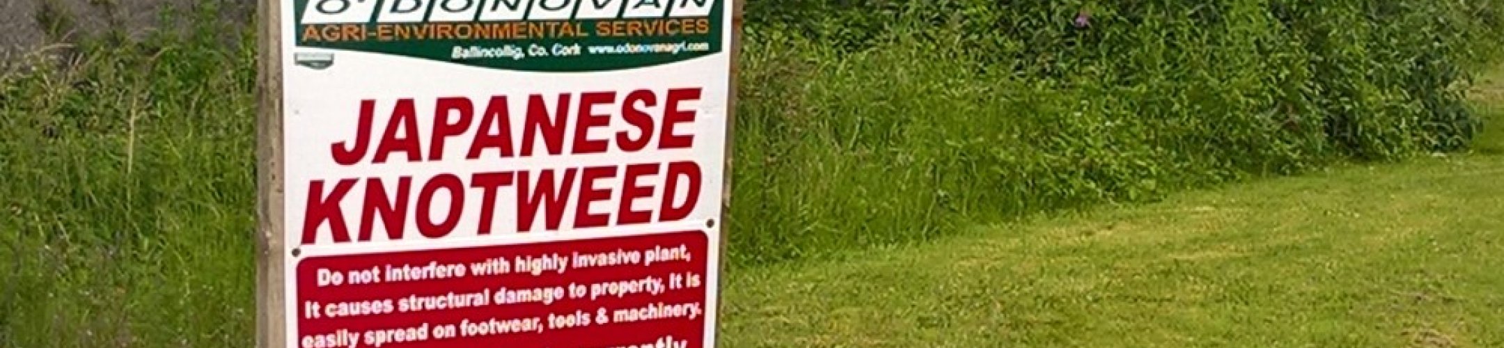 Bestrijden en beheersen