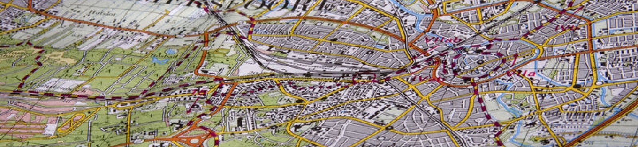 Hoe breng ik invasieve exoten in kaart?