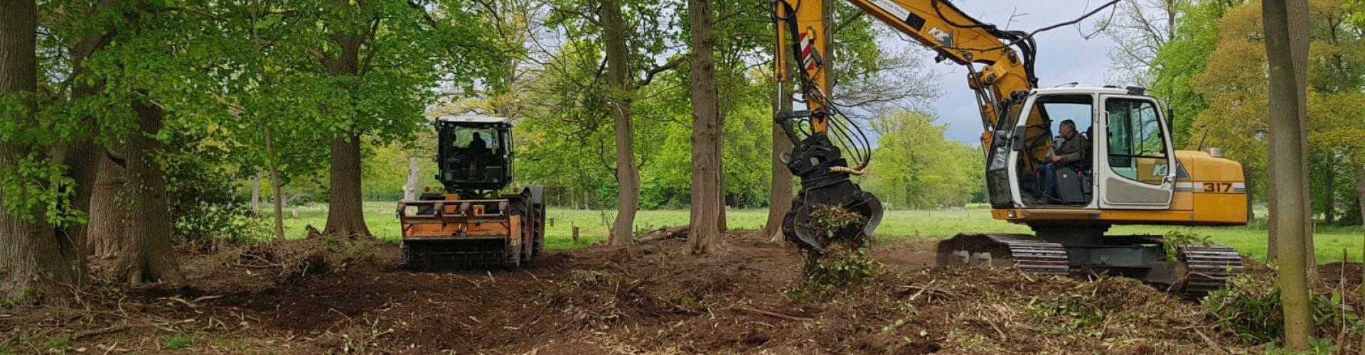 rooien Pontische rododendron cover.jpg