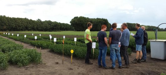 Telers op ROL aug 2018.jpg Telers op ROL aug 2018.jpg