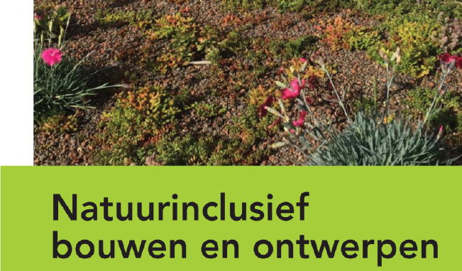 uitsnedes producten-13.png uitsnedes producten-13.png