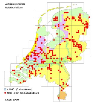 Verspreidingskaart Waterteunisbloem