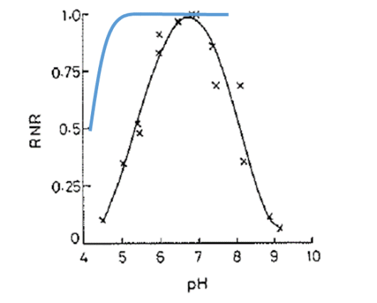 Figuur 2: Schematische weergave van het effect van pH-water op relatieve mineralisatiesnelheid (blauwe lijn) en nitrificatiesnelheid (RNR; zwarte lijn) Figuur 2: Schematische weergave van het effect van pH-water op relatieve mineralisatiesnelheid (blauwe lijn) en nitrificatiesnelheid (RNR; zwarte lijn)