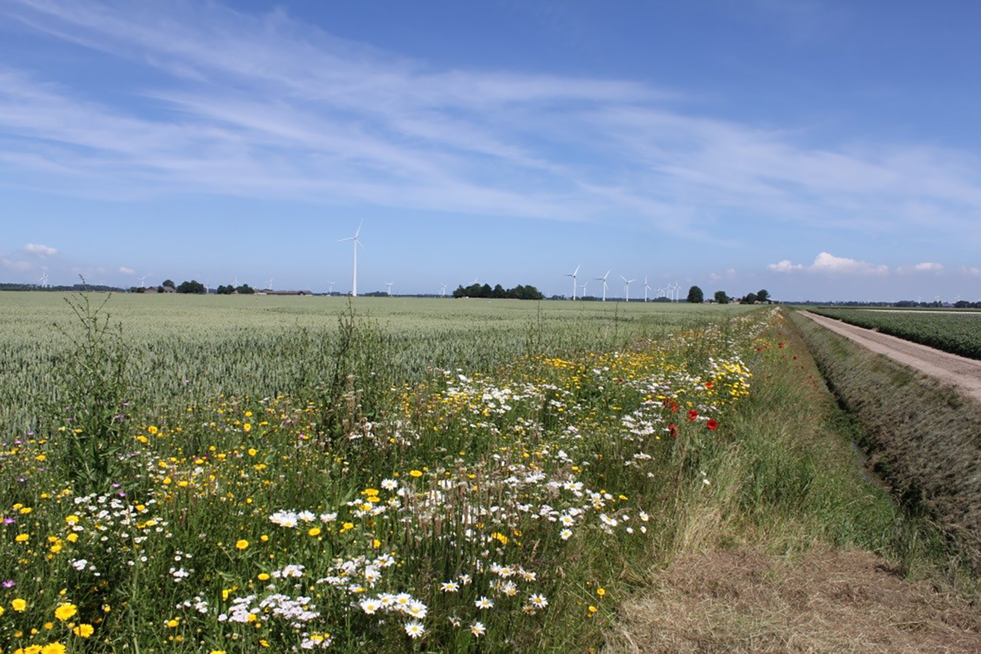 Foto David Kleijn