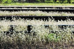 shutterstock_654044371 resize.jpg